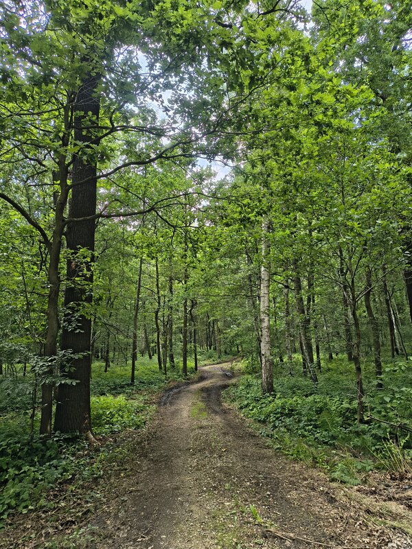 Powiększ: 