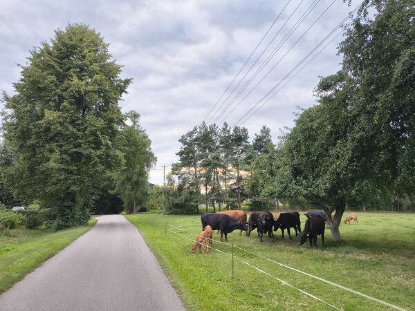 Powiększ: 