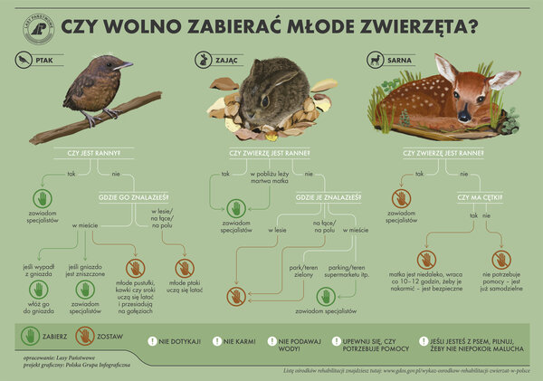 źródło: www.gov.pl