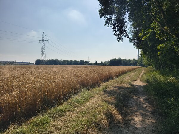 Powiększ: 