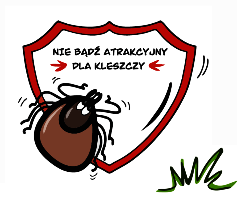 Powiększ: