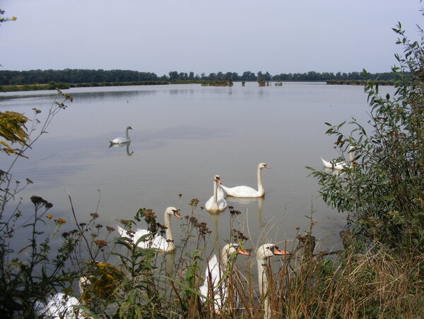 fot. Gminne Koło PTTK Pawłowice