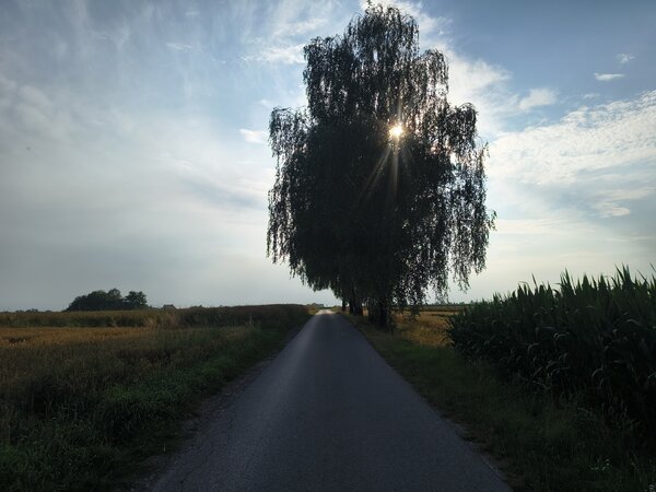 Powiększ: 