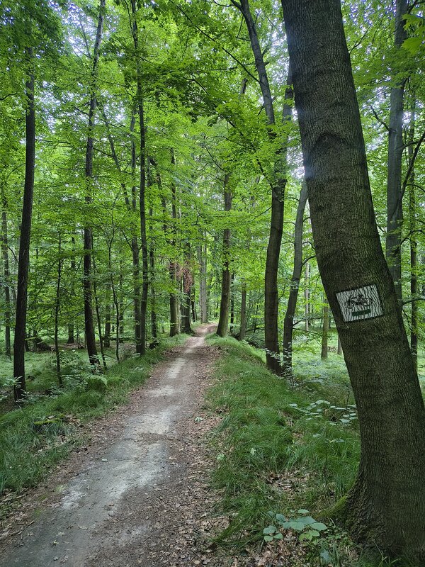 Powiększ: 