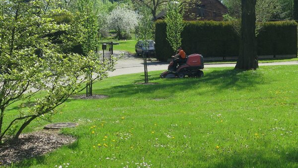 Pracownik kosi trawnk w parku kosiarką traktorem 