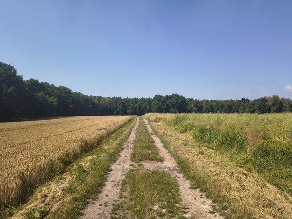 Powiększ: 