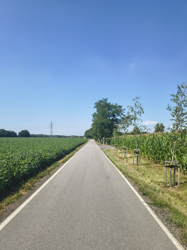 Powiększ: 