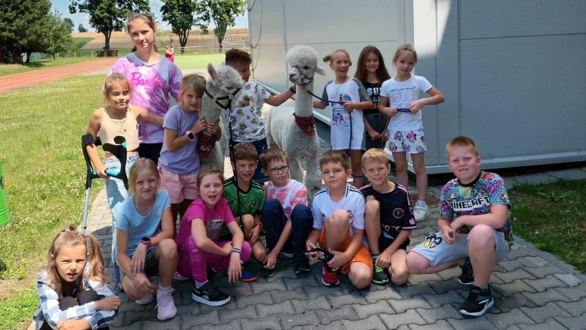Powiększ: 