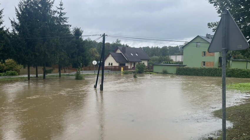 Powiększ: 