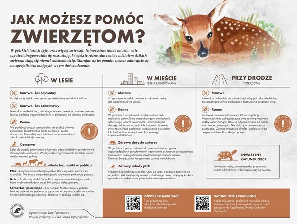 źródło: www.gov.pl