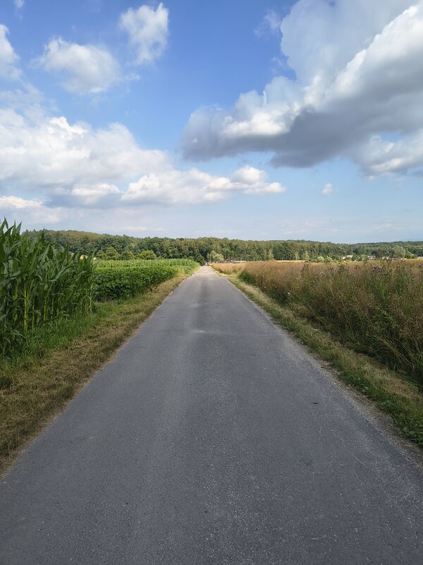Powiększ: 