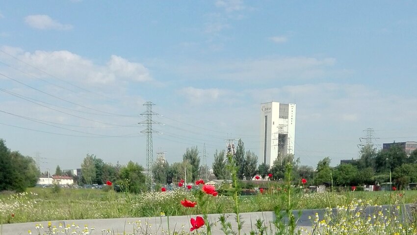 Powiększ: 