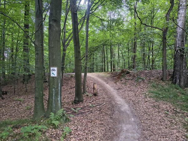 Powiększ: 