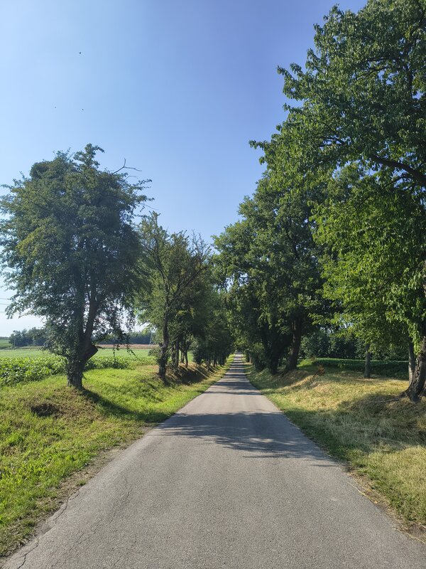 Powiększ: 