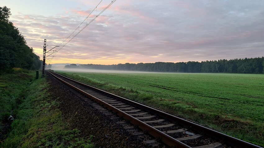 Powiększ: 