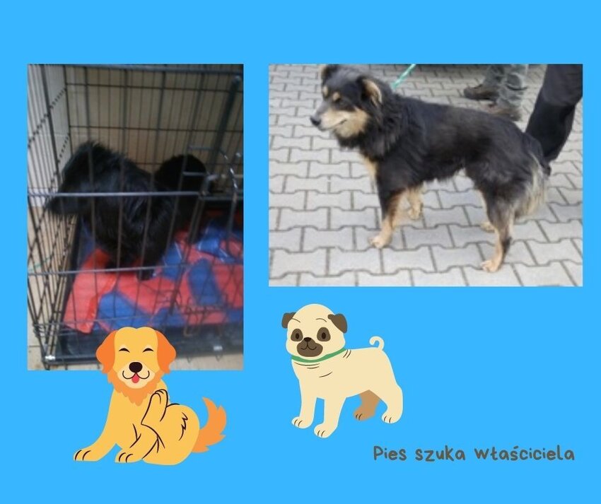 Powiększ: 