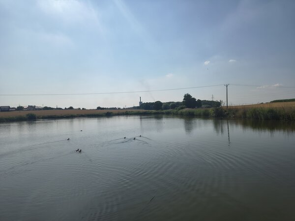Powiększ: 