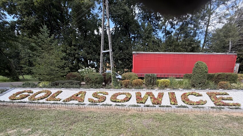 Powiększ: