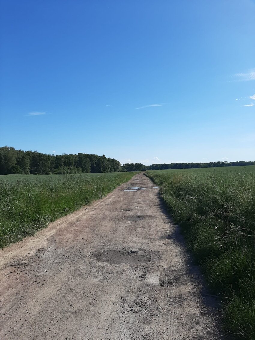 Powiększ: