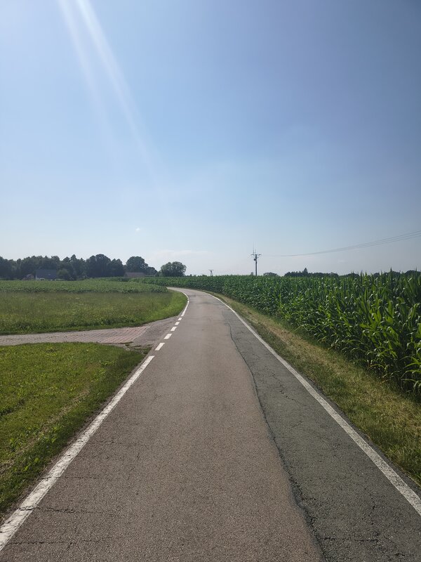 Powiększ: 
