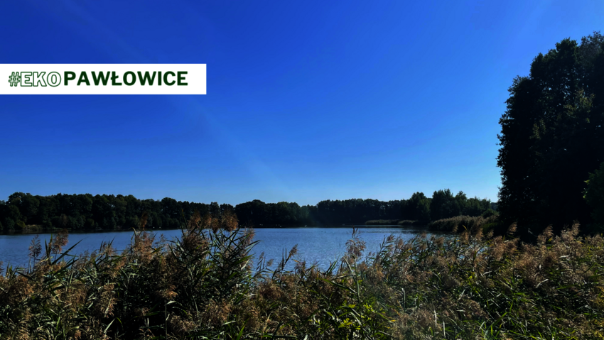 Powiększ: 
