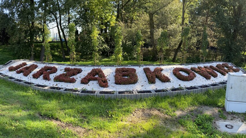 Powiększ: