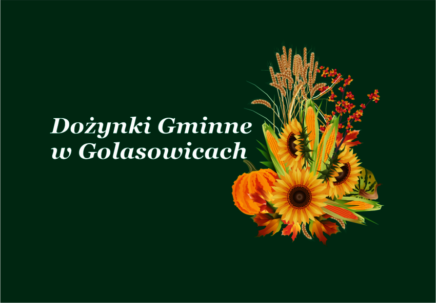 Powiększ: