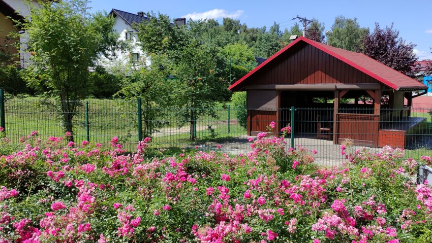 Powiększ: 
