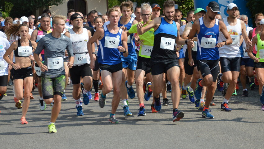 Powiększ: 