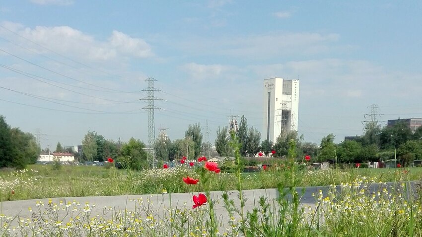 Powiększ: