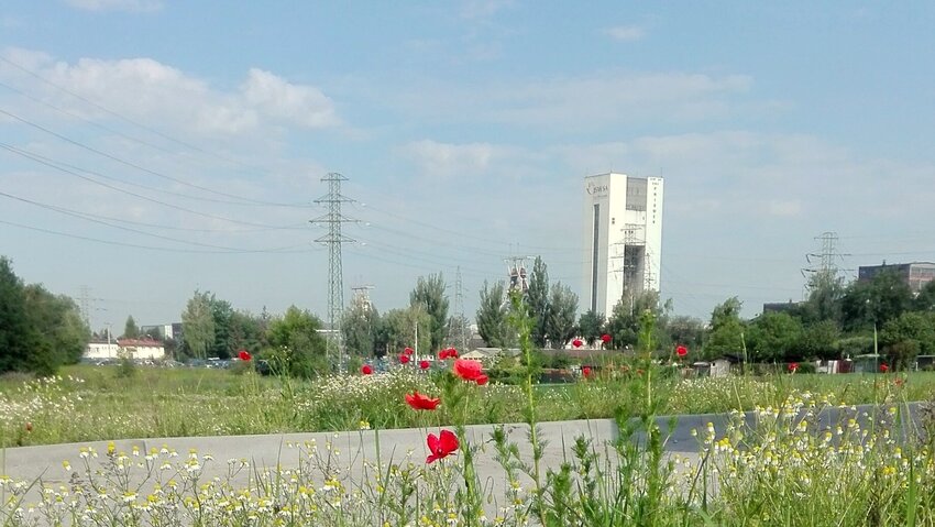 Powiększ: