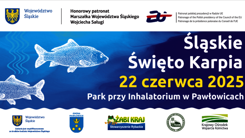 Powiększ: 