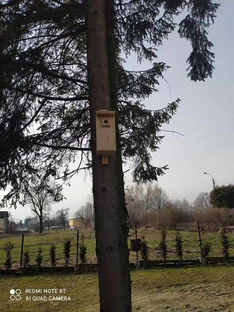 Powiększ:
